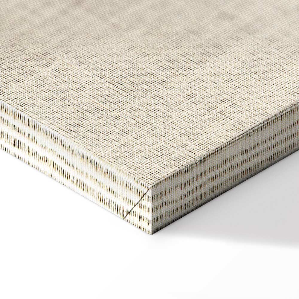 Vintage Bicycle Retro Canvas Print