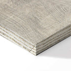 Vintage Bicycle Retro Canvas Print