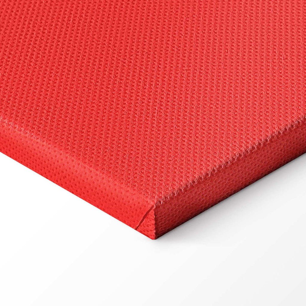 French Flag Badminton Rackets Sports Canvas Print