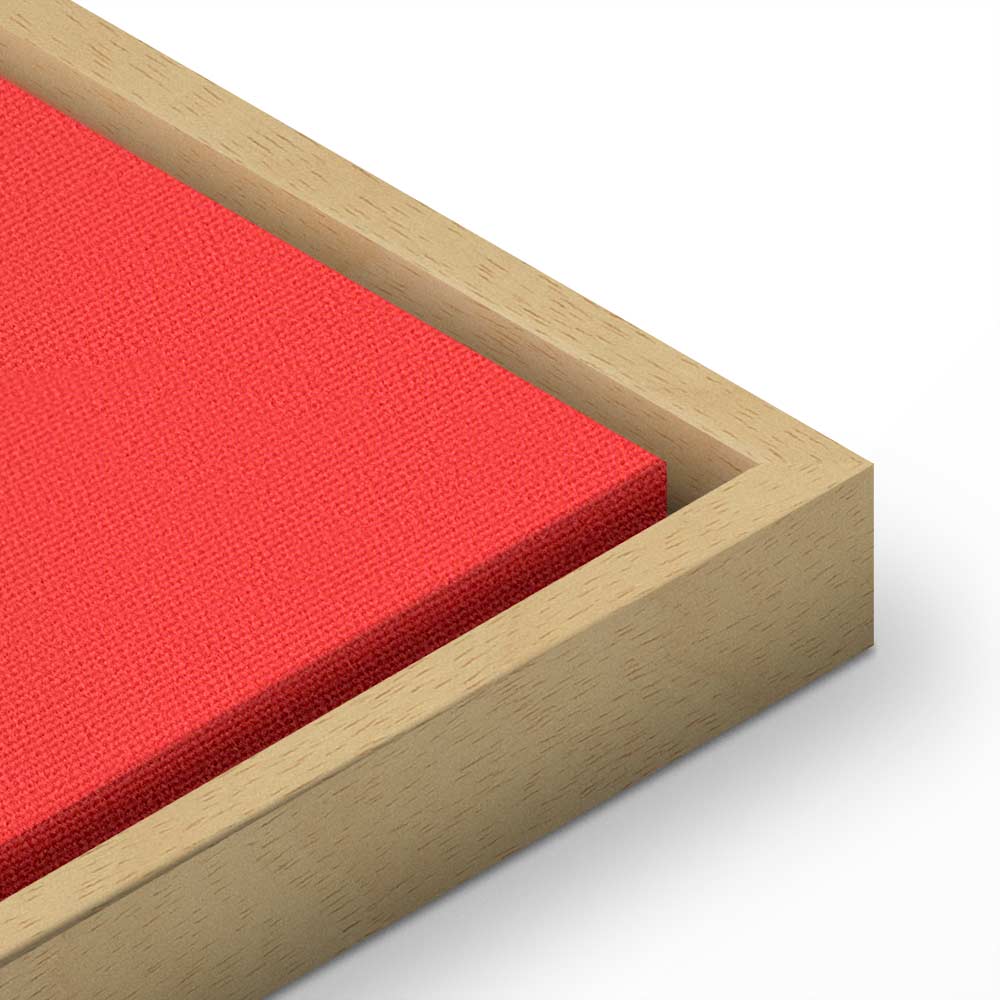 French Flag Badminton Rackets Sports Canvas Print