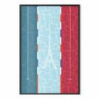 French Flag Pool Illustration Poster