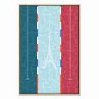 French Flag Swimming Pool Graphic Canvas Print