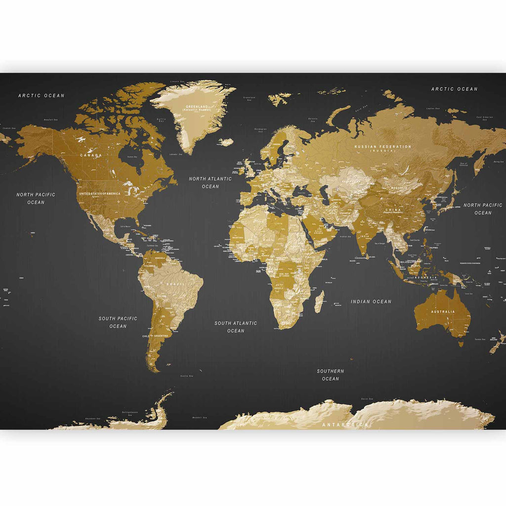 Modern Grey World Map Wall Mural