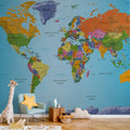 Colourful World Map Geography Wall Mural