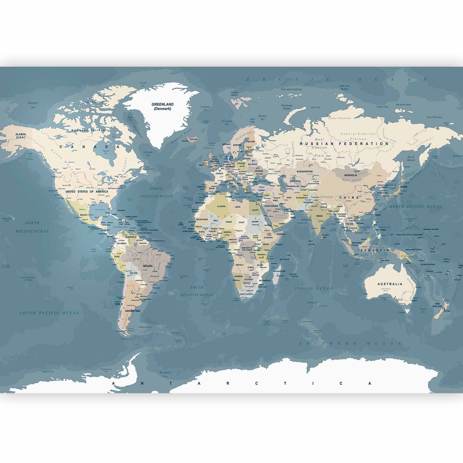 Vintage World Map Wall Mural