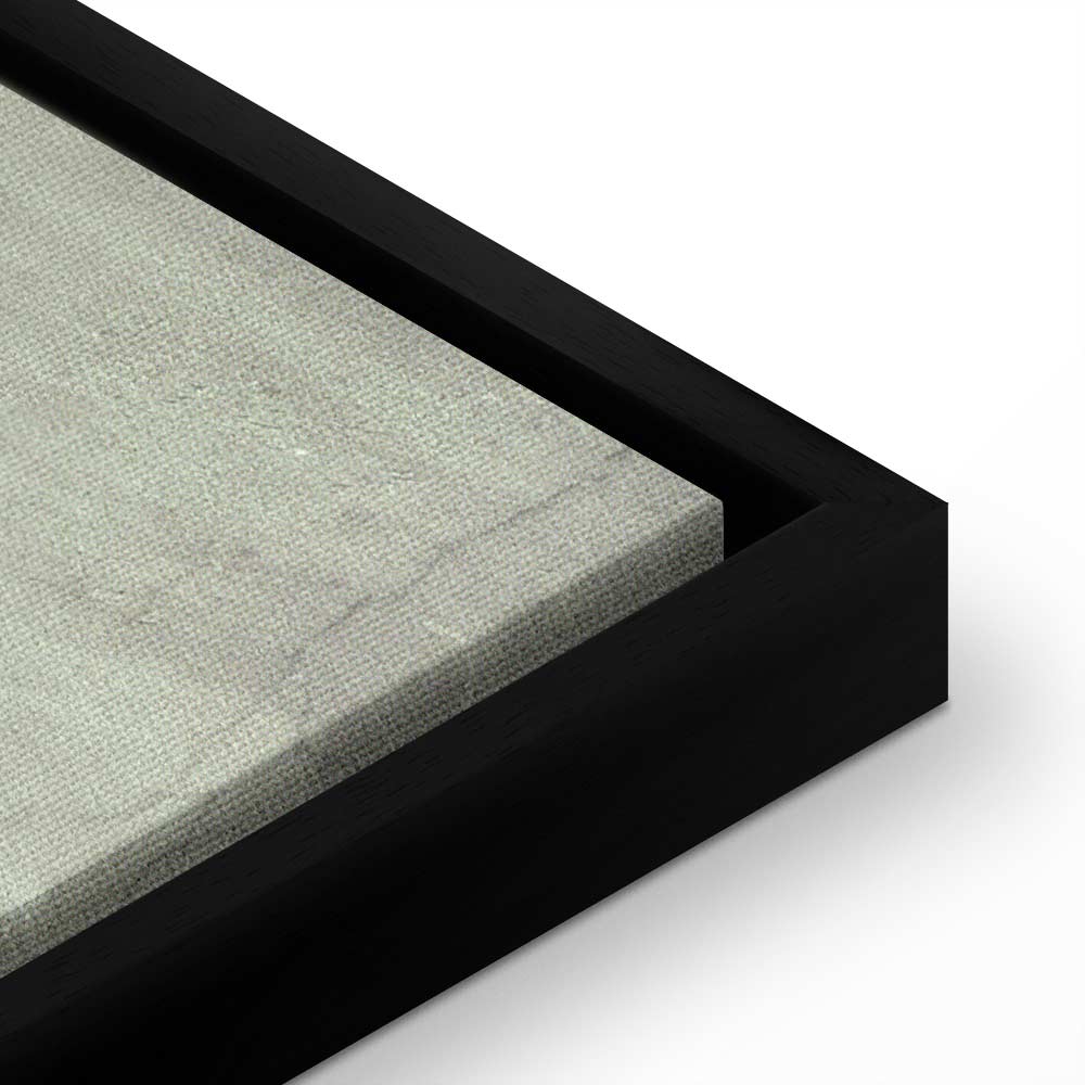 Creation of Adam Hands Classic Canvas Print