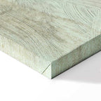 Creation of Adam Hands Classic Canvas Print