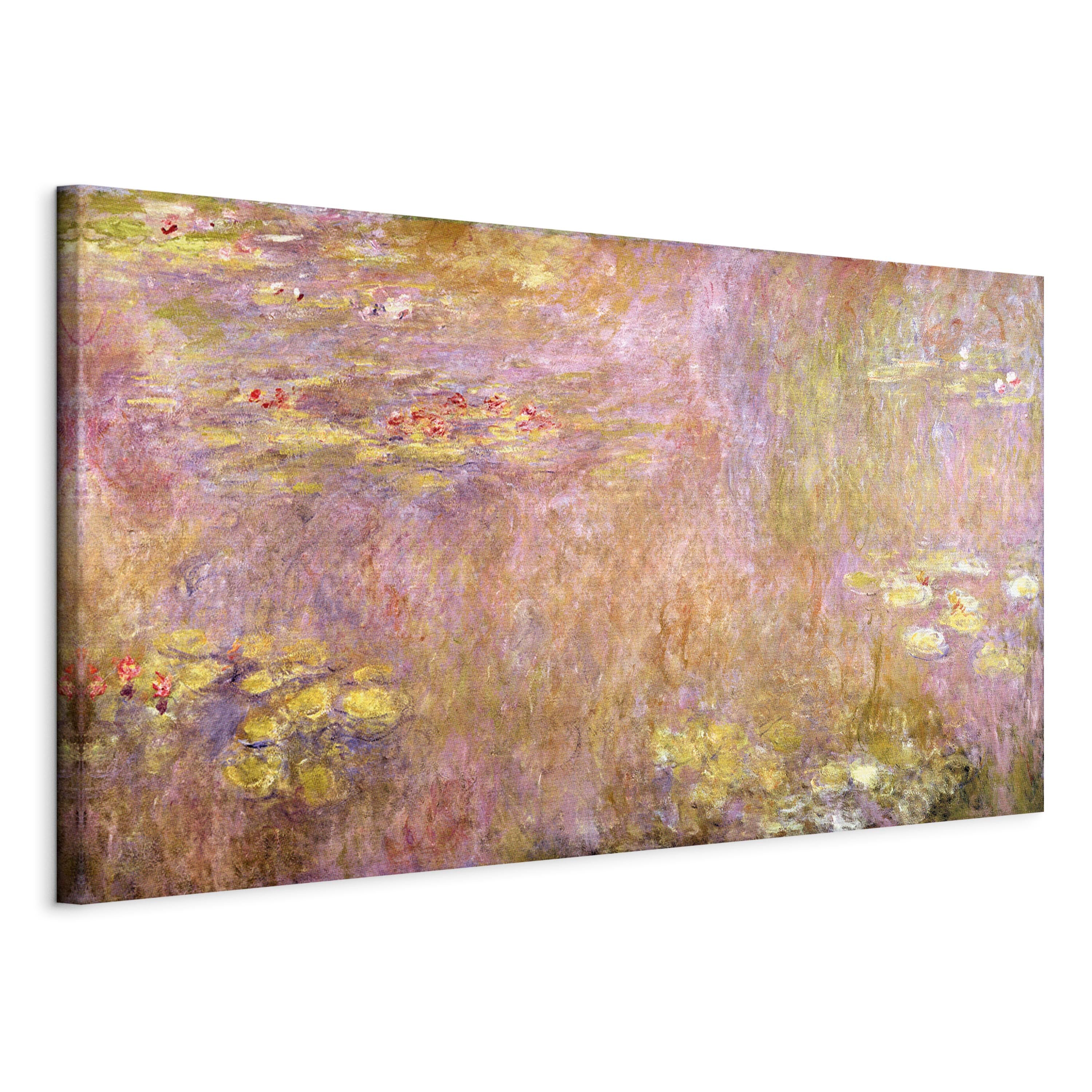 Canvas Print Water Lilies II