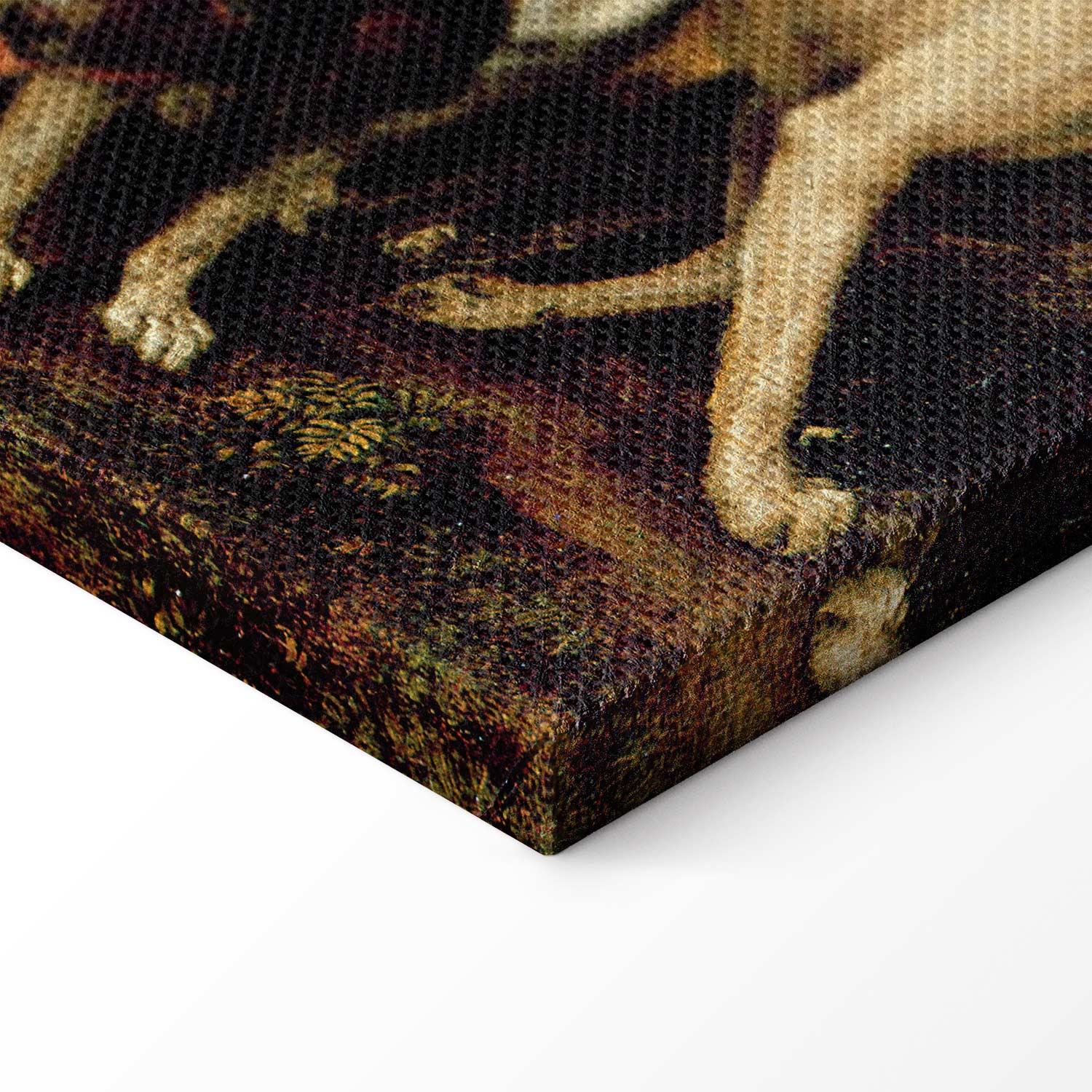 Venus and Adonis Classic Canvas Print