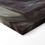 Rokeby Venus Classic Canvas Print