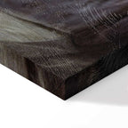 Rokeby Venus Classic Canvas Print