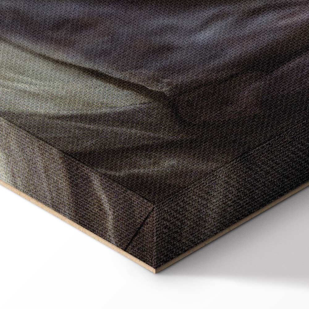 Rokeby Venus Classic Canvas Print