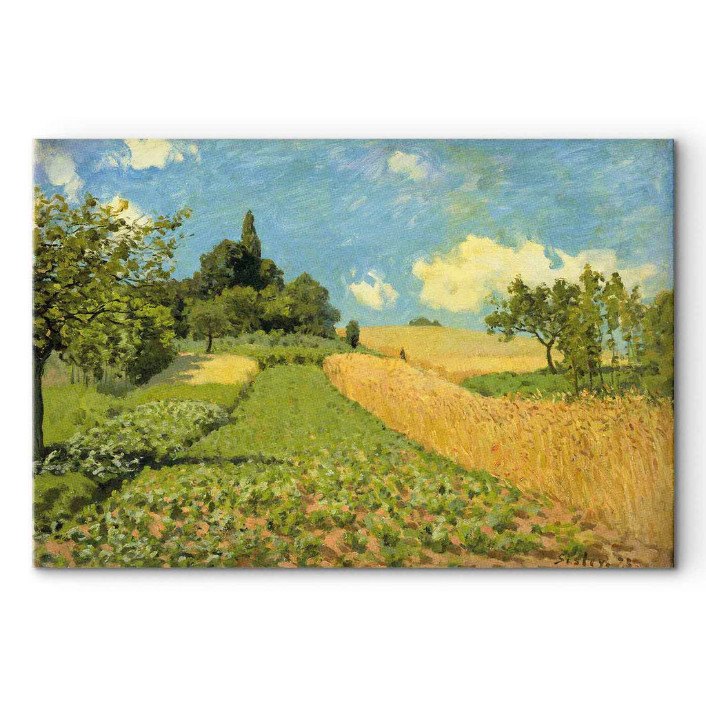 Argenteuil Grain Fields Landscape Canvas Print