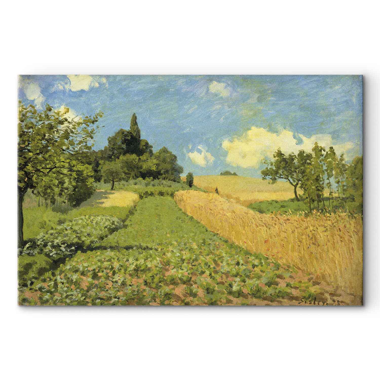 Argenteuil Grain Fields Landscape Canvas Print