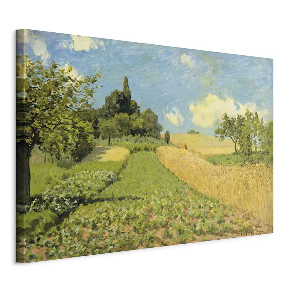 Canvas Print The Cornfield near Argenteuil Alfred Sisley