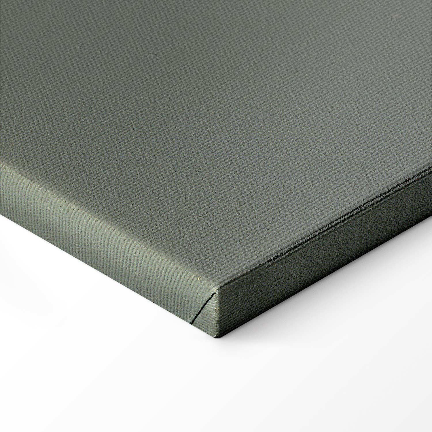 Hop Plant Botanical Classic Canvas Print