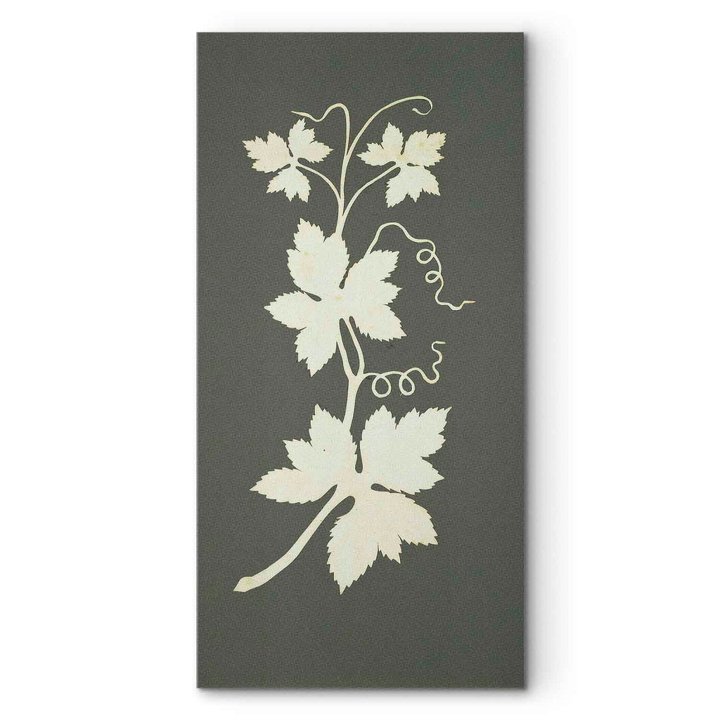 Hop Plant Botanical Classic Canvas Print