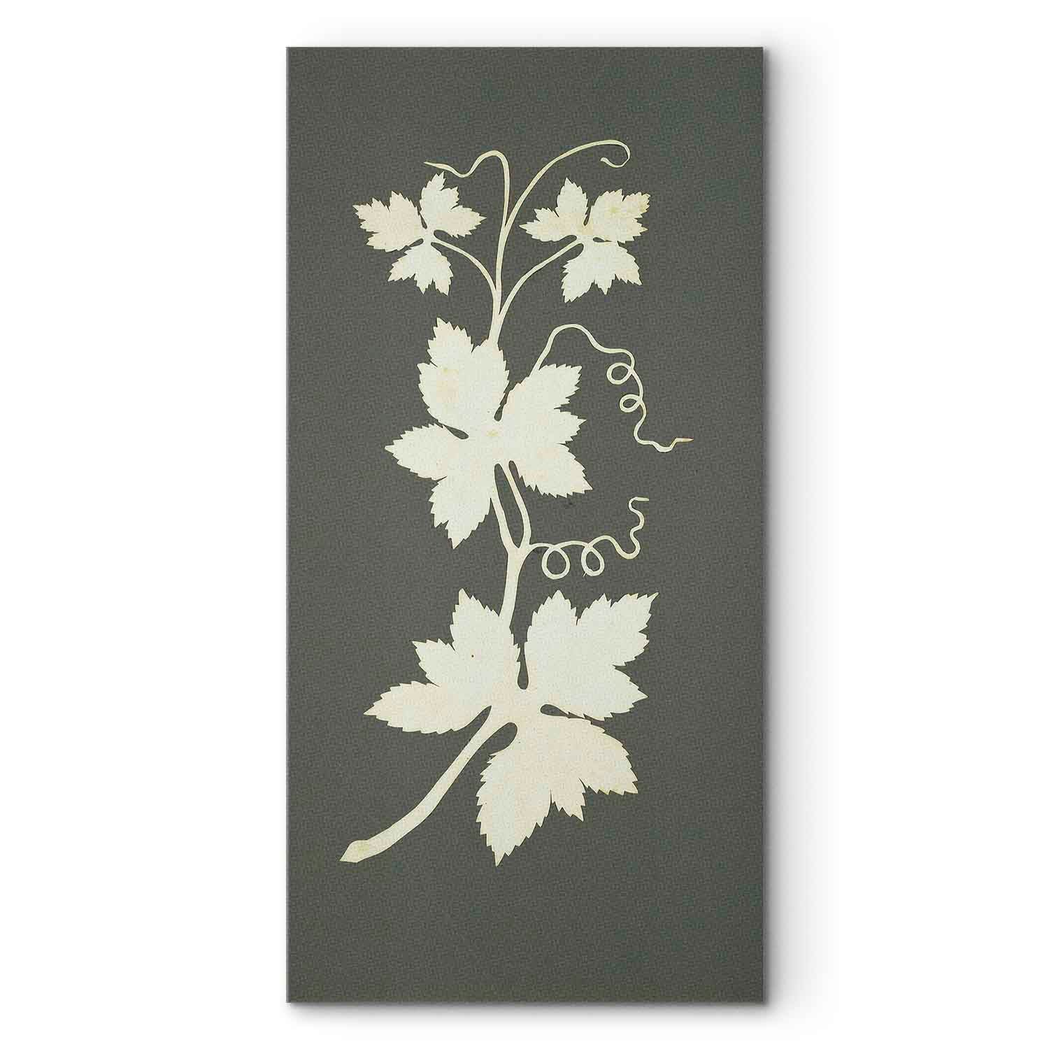 Hop Plant Botanical Classic Canvas Print