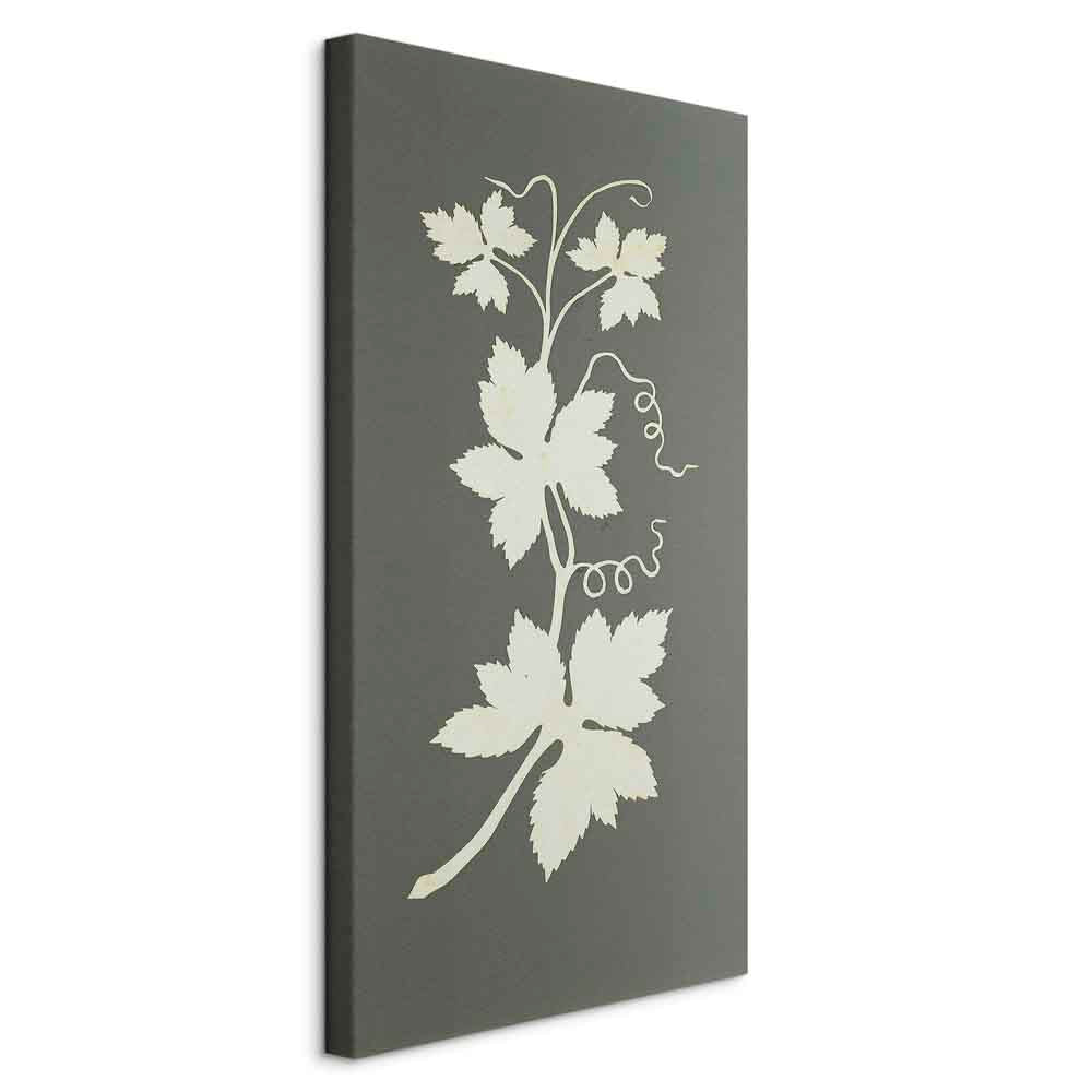 Canvas Print Hop Plant
