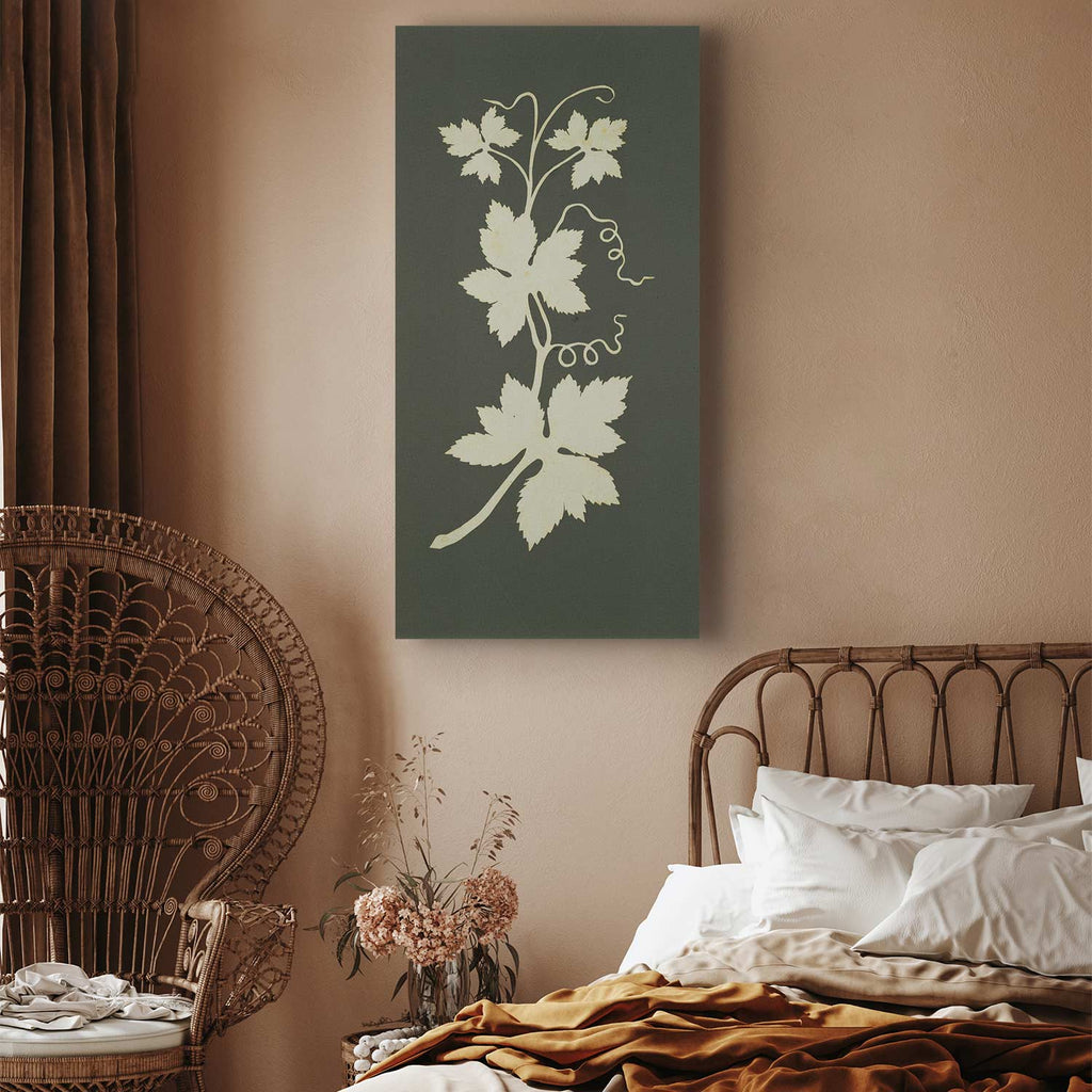 Hop Plant Botanical Classic Canvas Print