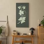 Hop Plant Botanical Classic Canvas Print
