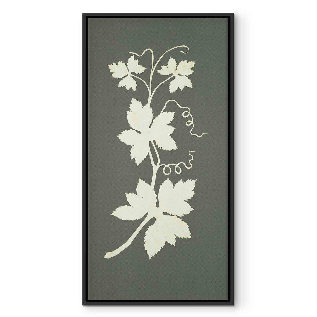Hop Plant Botanical Classic Canvas Print