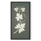 Hop Plant Botanical Classic Canvas Print