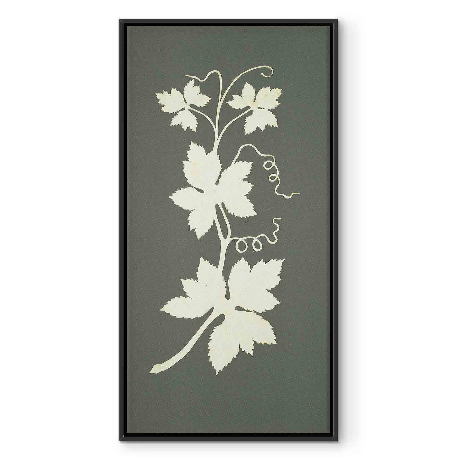 Hop Plant Botanical Classic Canvas Print