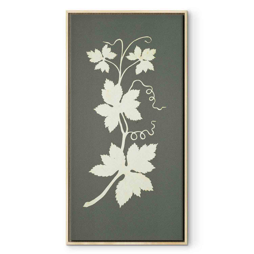 Hop Plant Botanical Classic Canvas Print