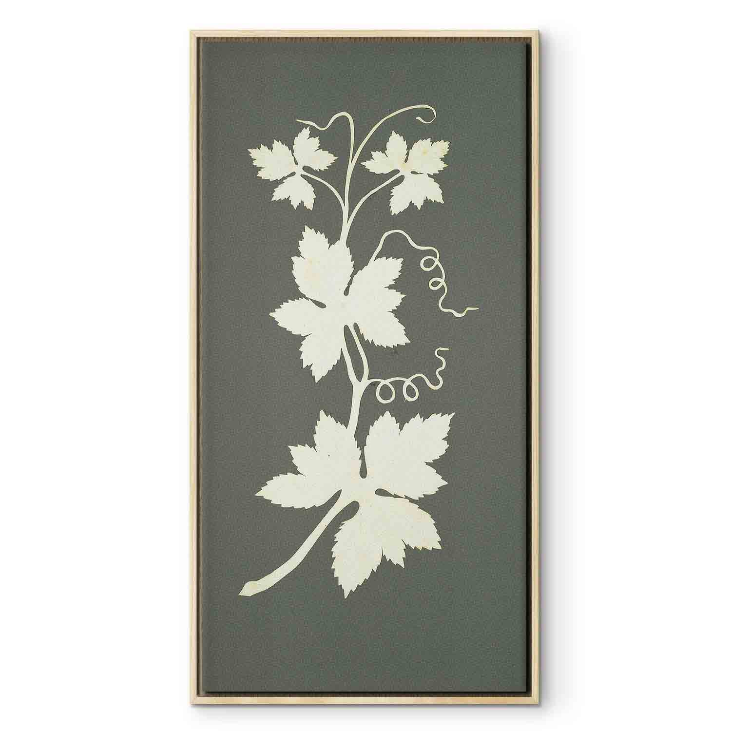 Hop Plant Botanical Classic Canvas Print
