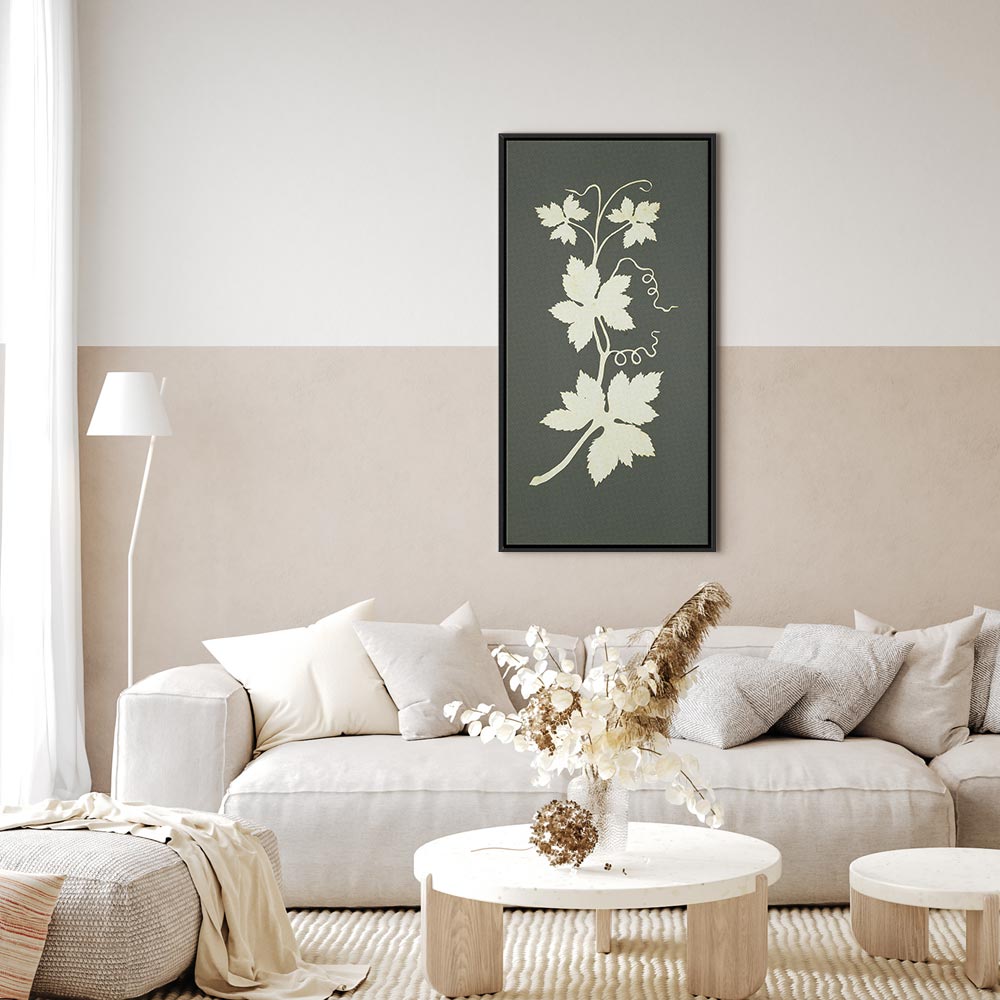 Leinwanddruck Hopfenpflanze