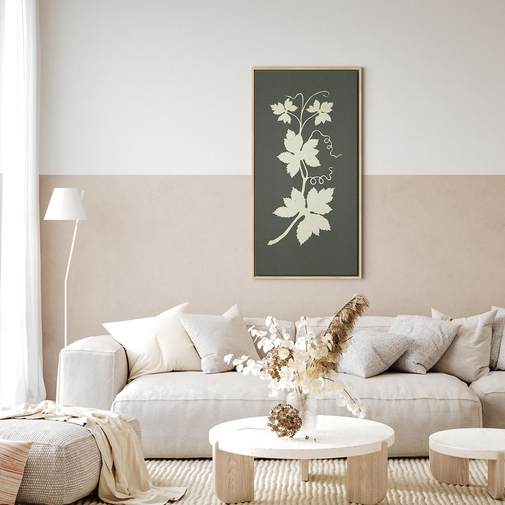 Leinwanddruck Hopfenpflanze