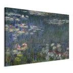 Canvas Print Waterlilies: Green Reflections