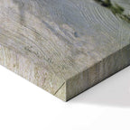 Monet Winter Landscape Classic Canvas Print