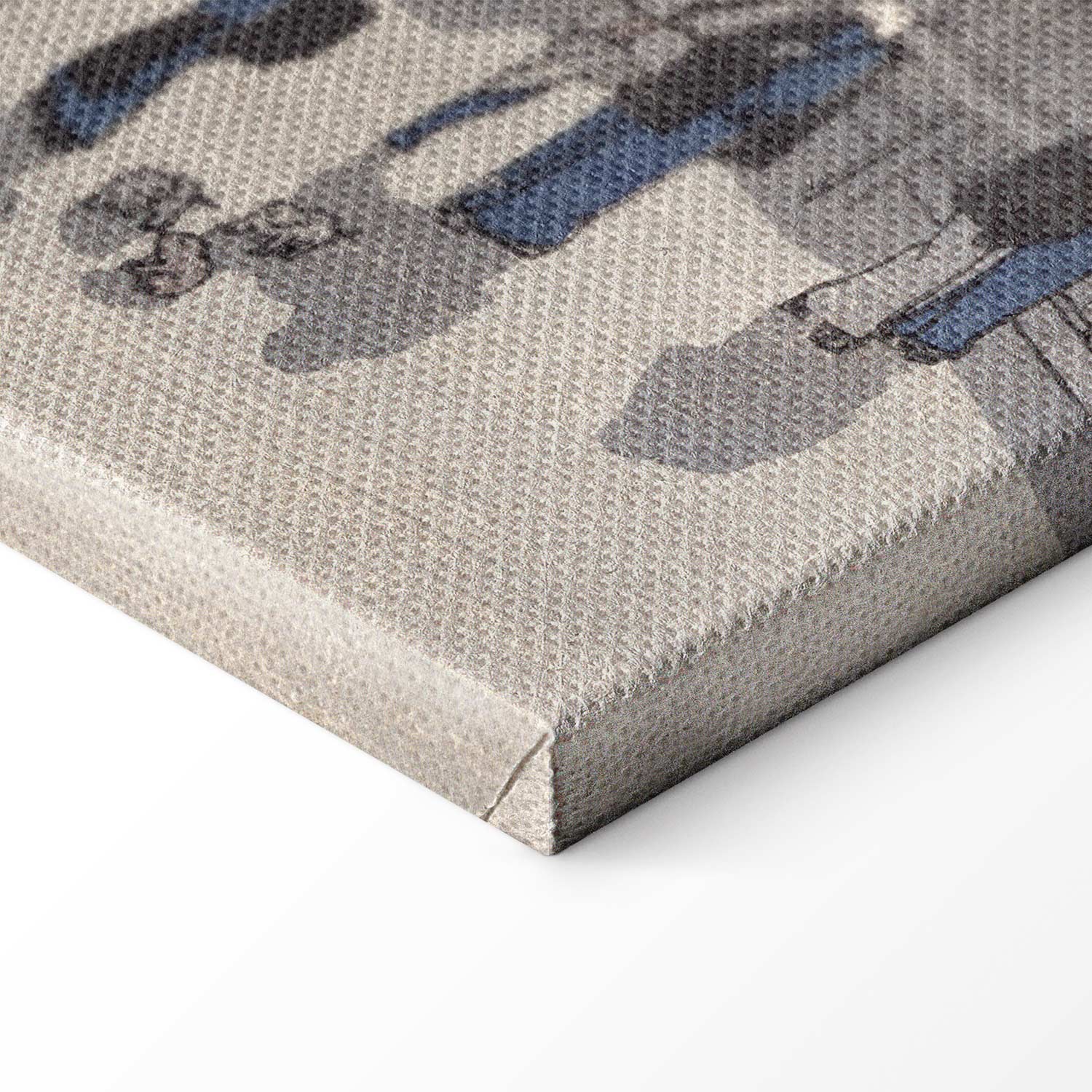 Saruwaka Street Night Scene Classic Canvas Print