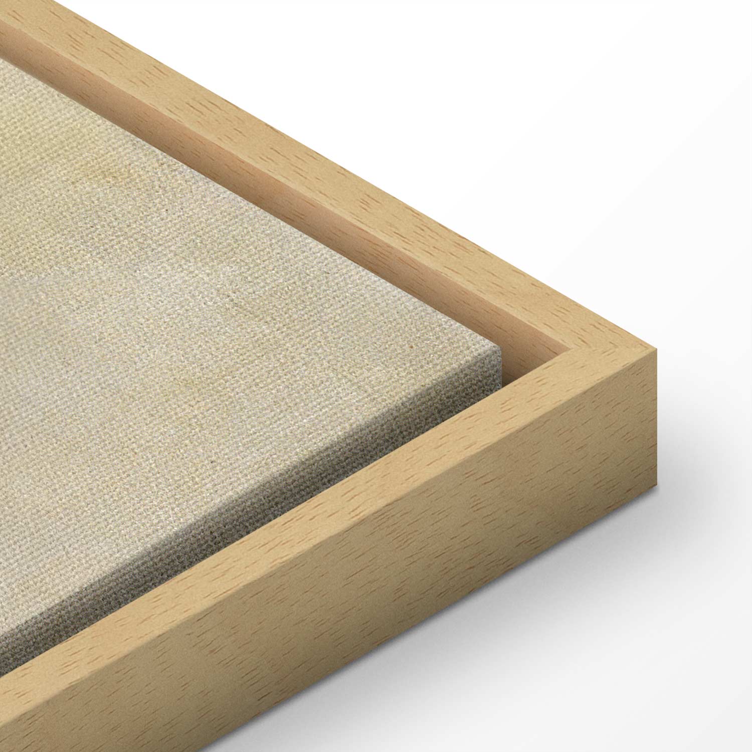 Frida Kahlo Surrealist Bath Scene Canvas Print