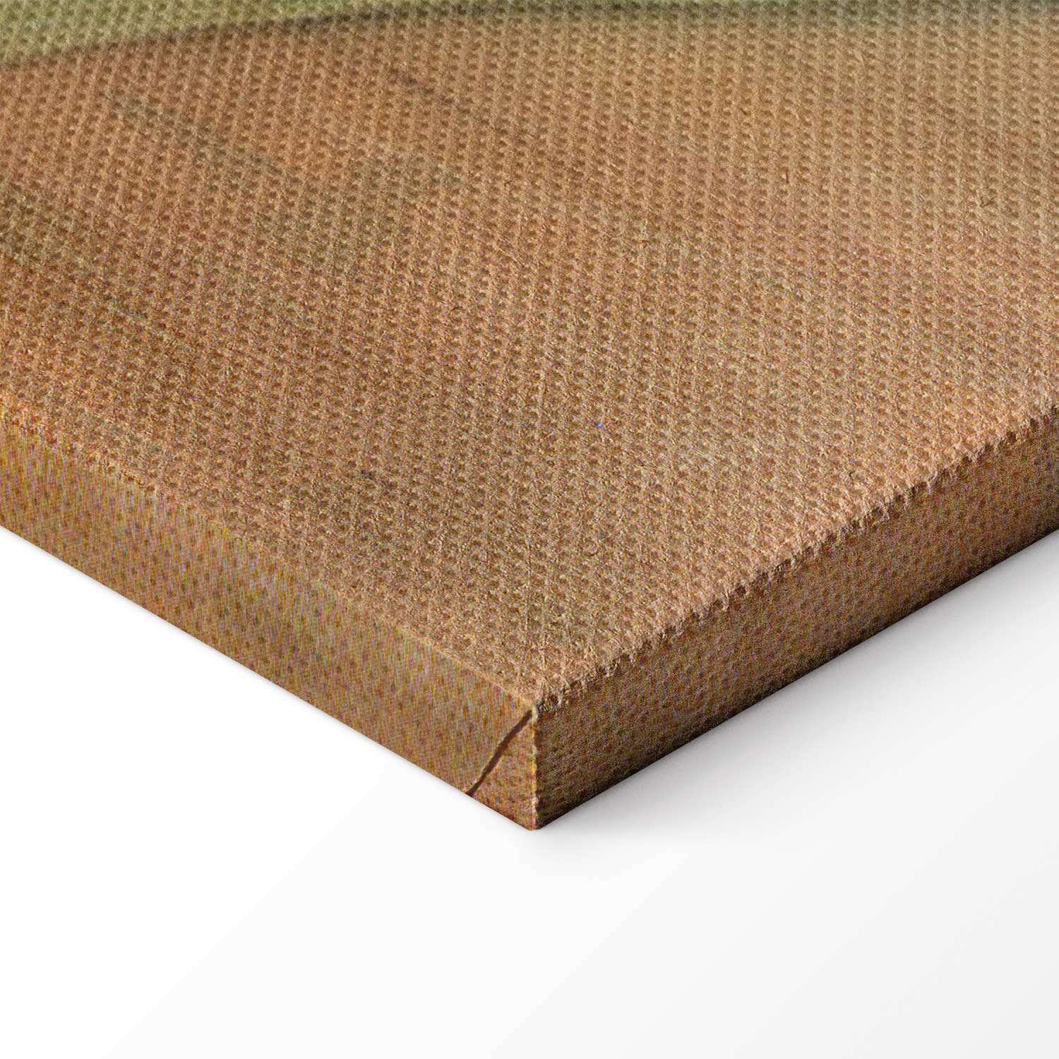 Frida Kahlo Still Life Multicolor Canvas Print