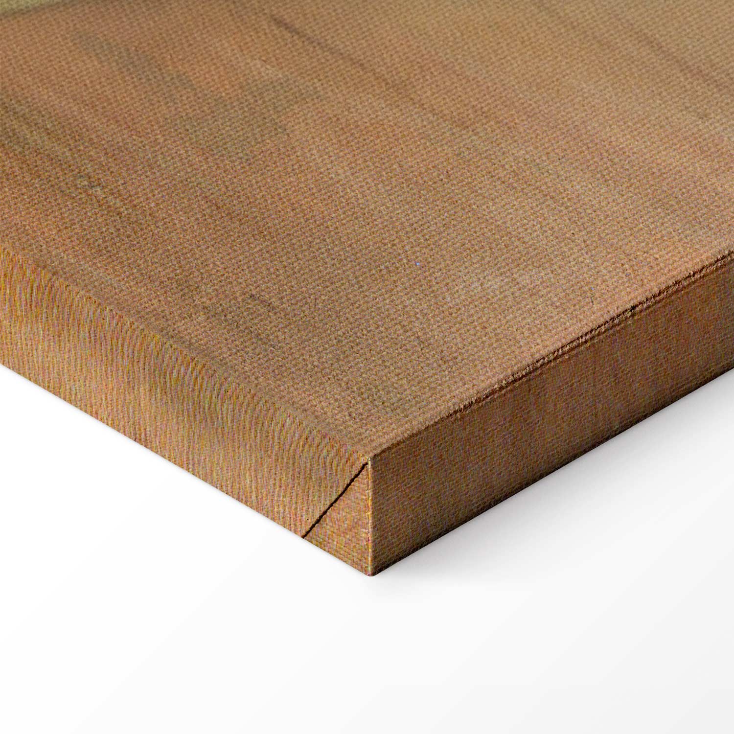 Frida Kahlo Still Life Multicolor Canvas Print