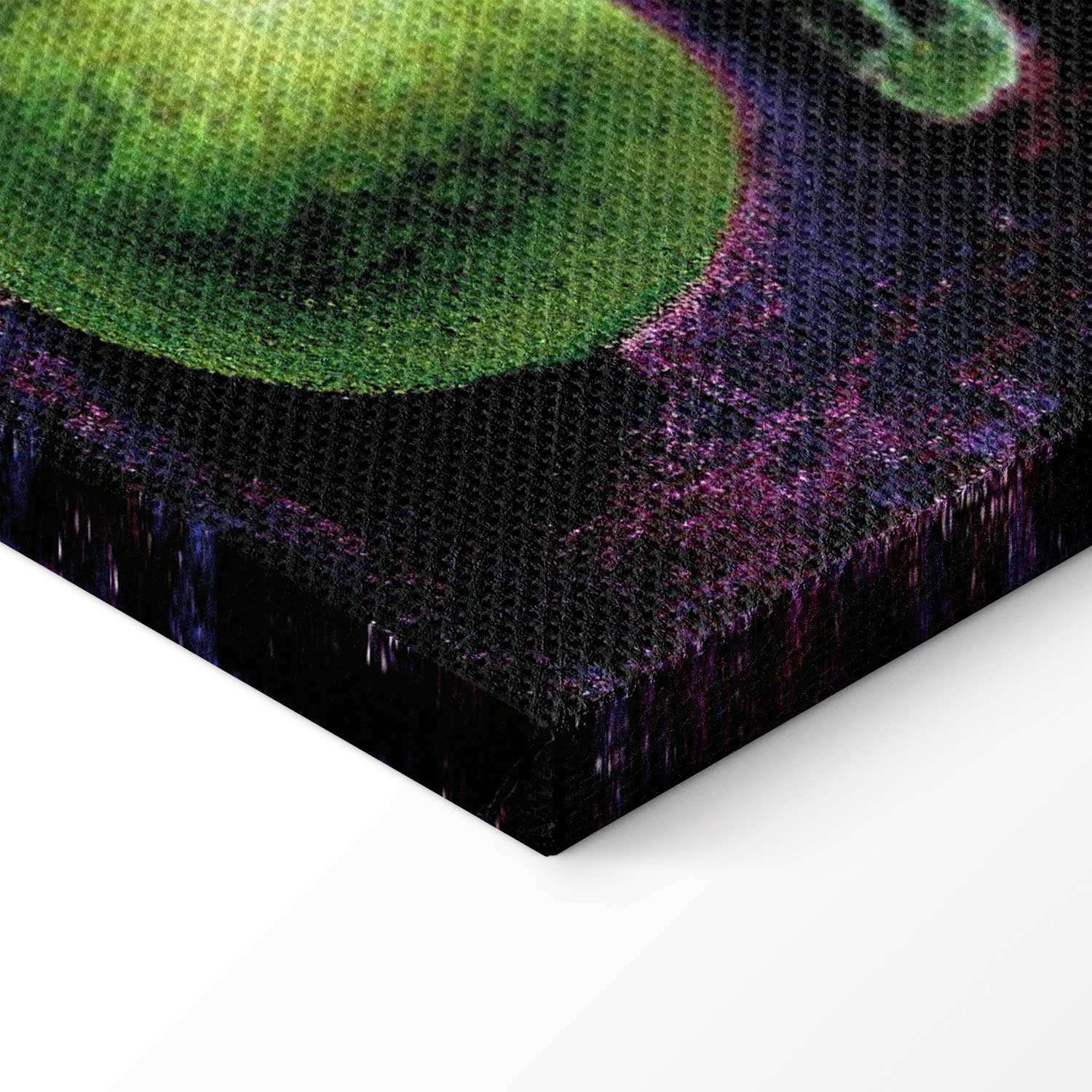 Frida Kahlo Still Life Art Canvas Print