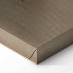 Frida Kahlo Itzcuintli Dog Classic Canvas Print