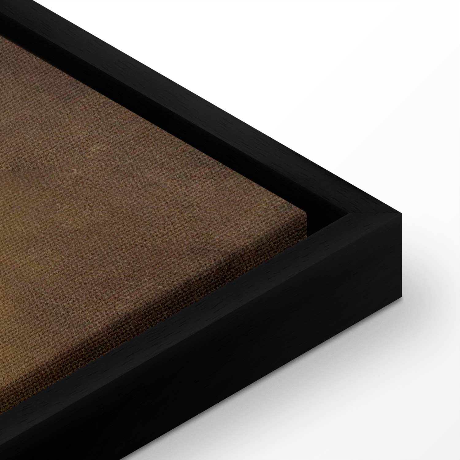 Frida Kahlo Me and My Parrots Classic Canvas Print