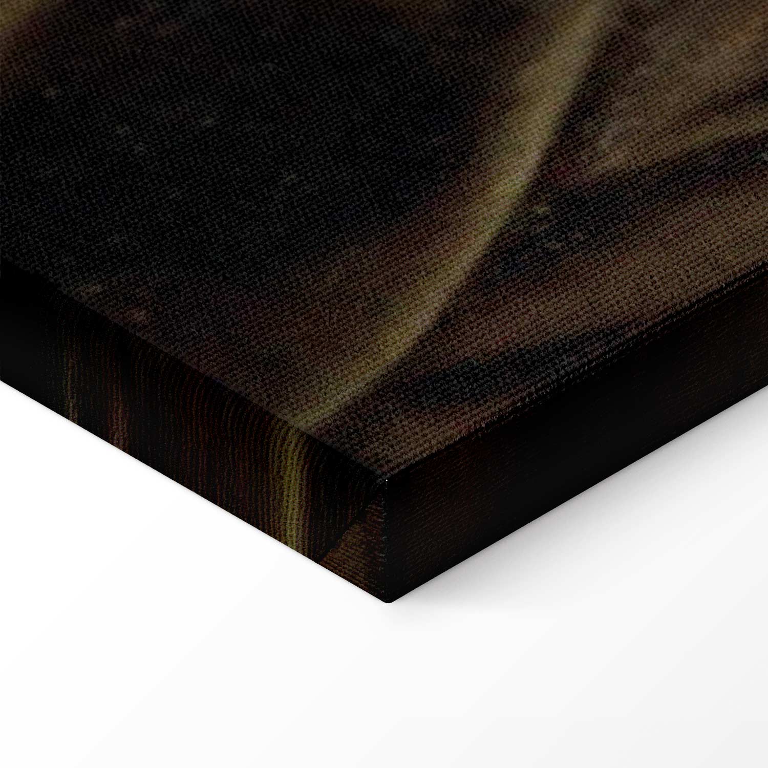 Frida Kahlo Self-Portrait with Bonito Classic Canvas Print