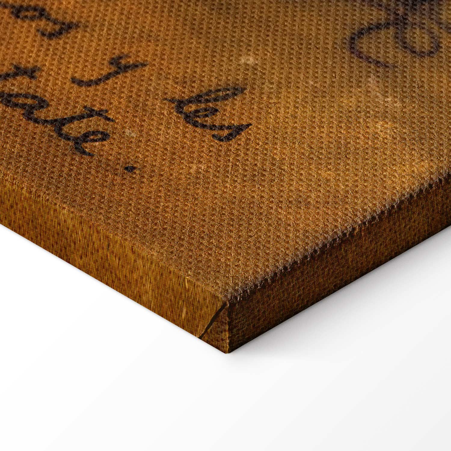 Frida Kahlo Surreal Portrait Canvas Print