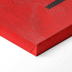 Matisse The Swimmer in the Aquarium Canvas Print