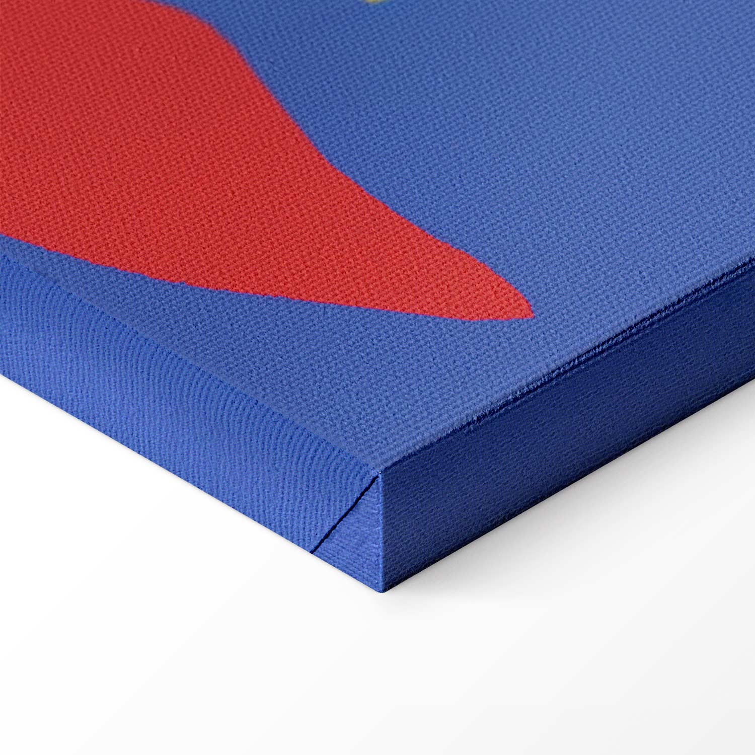 Matisse The Circus (Jazz) Modern Art Canvas Print