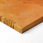 Henri Matisse Morning Session Classic Canvas Print