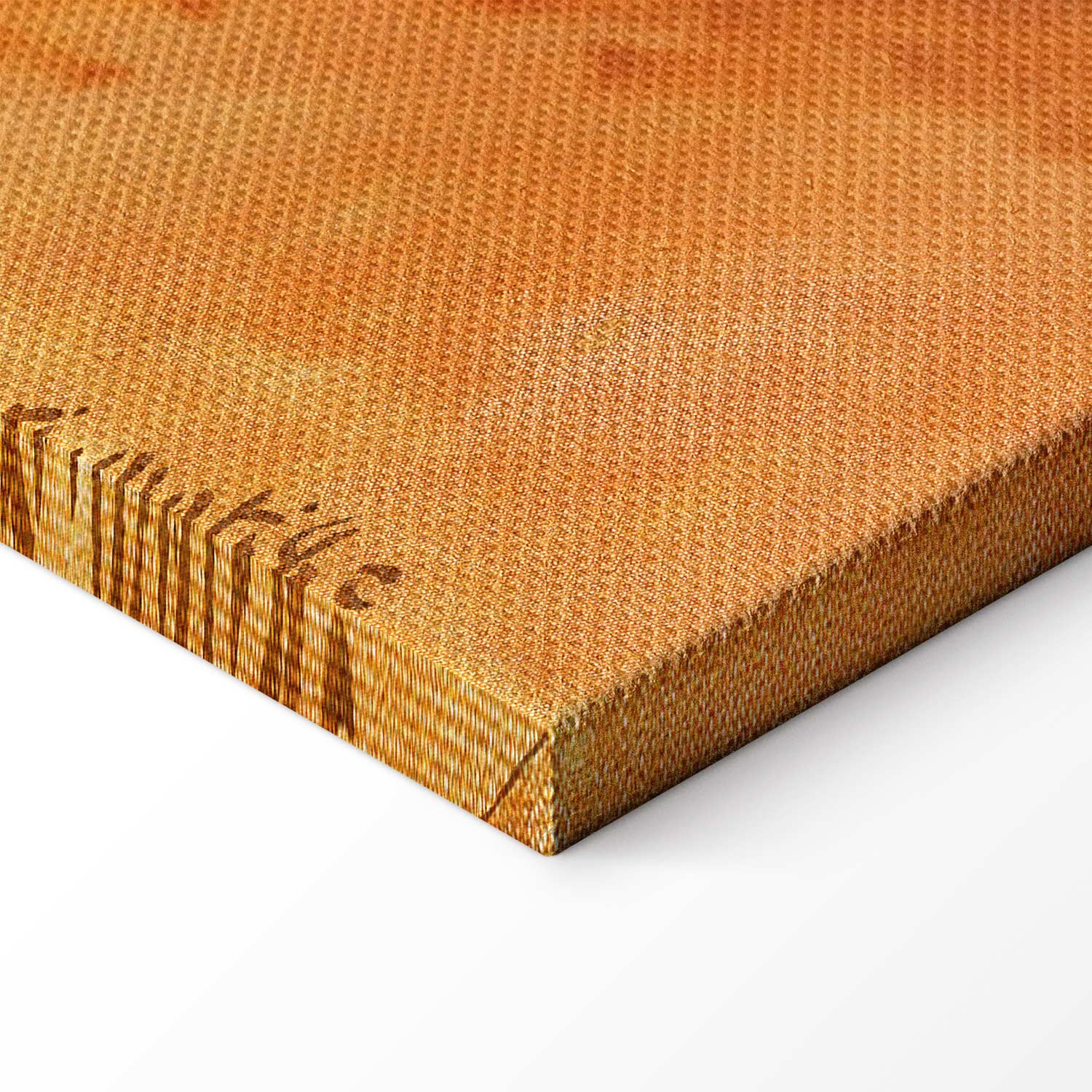 Henri Matisse Morning Session Classic Canvas Print