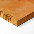 Henri Matisse Morning Session Classic Canvas Print