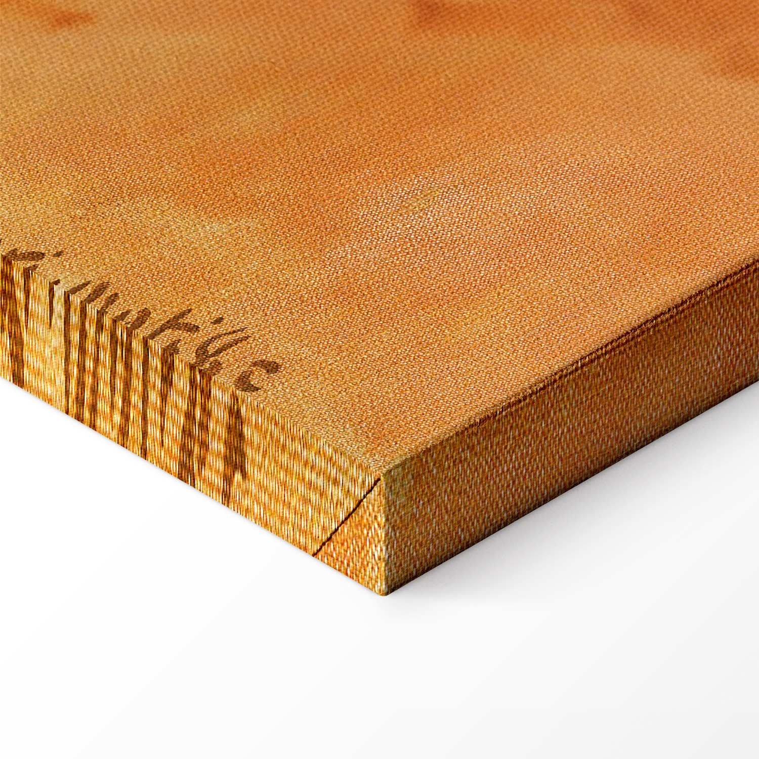 Henri Matisse Morning Session Classic Canvas Print