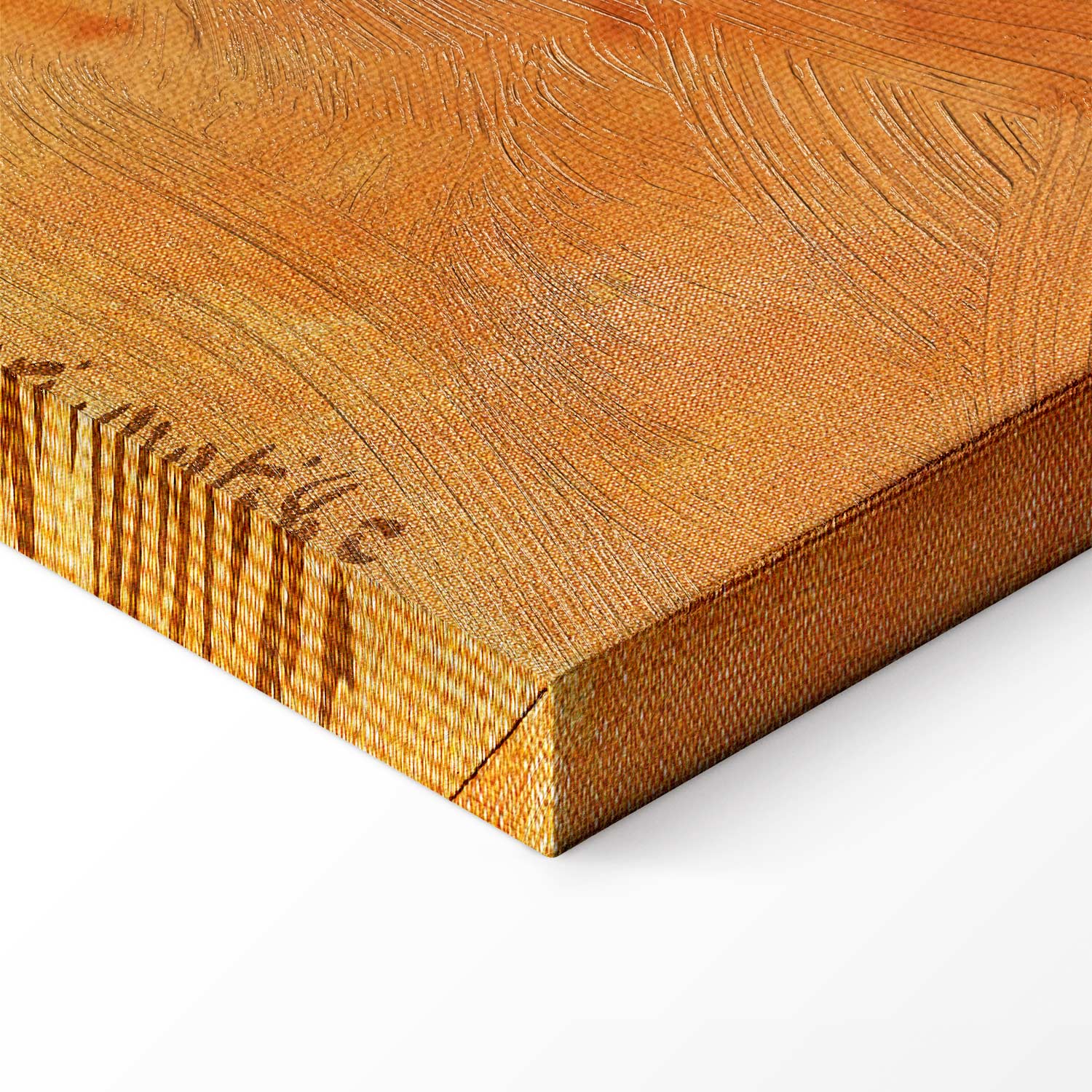 Henri Matisse Morning Session Classic Canvas Print